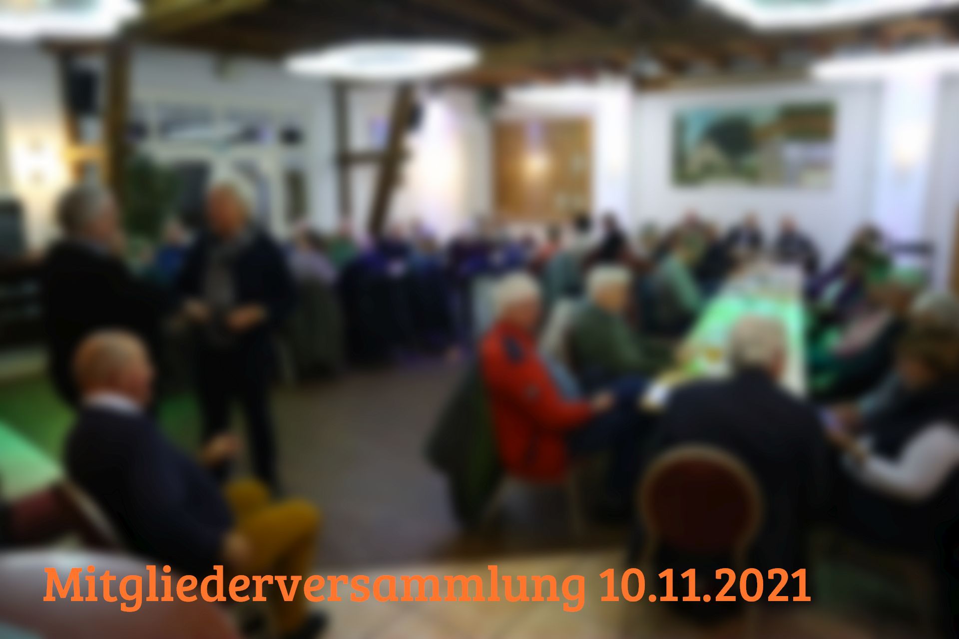 Unscharfes Bild der Teilnehmenden der Mitgliederversammlung